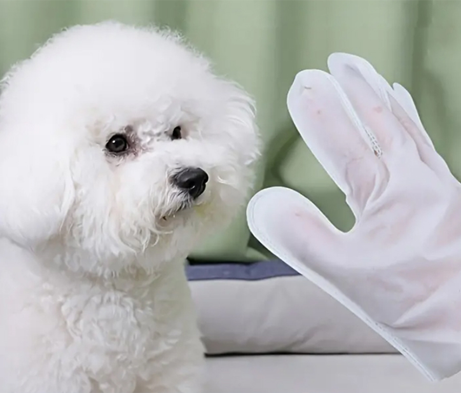 Pet grooming gloves